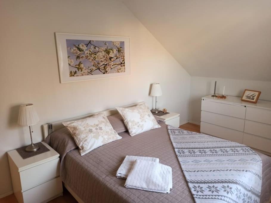 דירות הלסינקי Cosy Loft מראה חיצוני תמונה